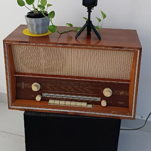 Vintage  Stern-Radio Turkis